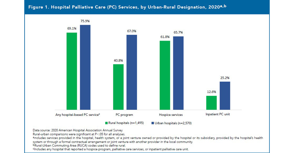 Publication Details: Palliative Care Challenges and Solutions in Rural ...